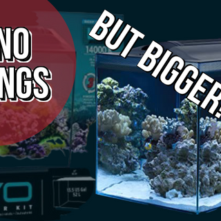 Flash Sale! NANO Savings ..but bigger !