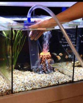 Additional Hour Professional Cleaning Services 70 Exotic Aquarium World