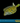 Cubicus Boxfish  (Ostracion cubicus)