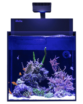 Max Nano Cube Complete Reef System (Excl. cabinet)
