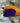 Pygmy (Cherub) Angelfish (Centropyge argi)