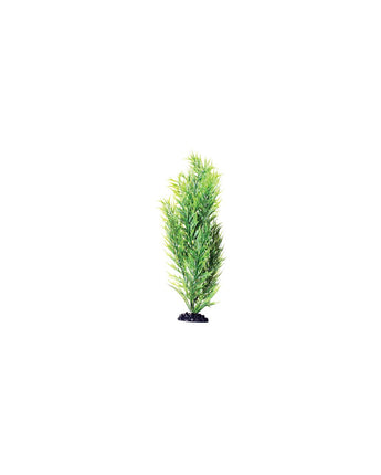 Underwater Treasures Green Bamboo - 16"