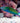 Lyretail Wrasse