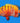 Neptune Grouper