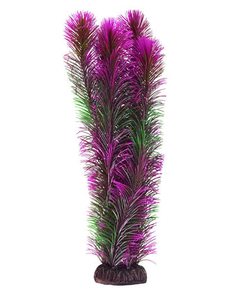 Underwater Treasures Ambulia - Purple - 16