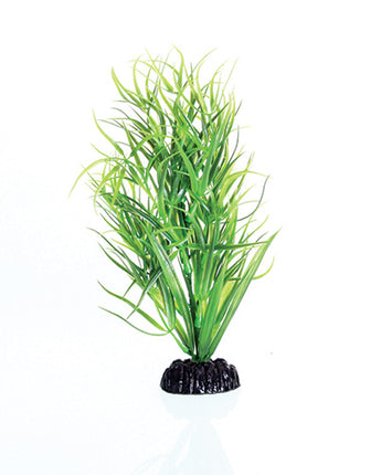 Underwater Treasures Green Diandra - 8"