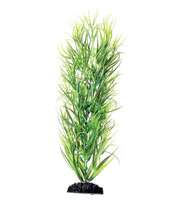 Underwater Treasures Green Diandra - 12"
