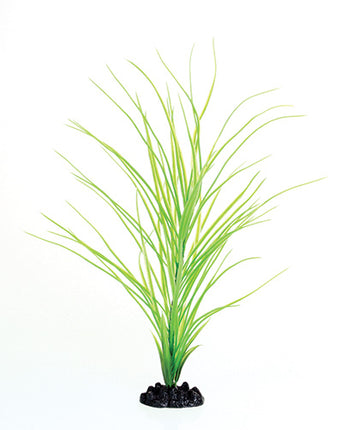 Underwater Treasures Green Hairgrass - 16"
