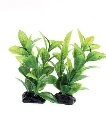 Underwater Treasures Green Ludwigia (2 Pod) - 3"