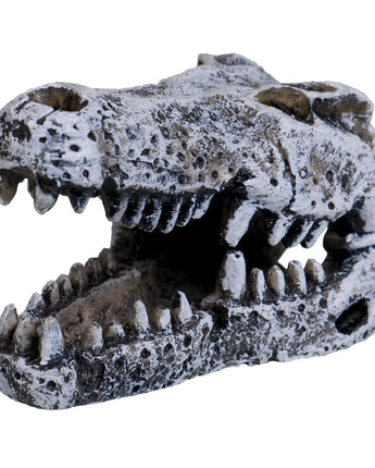 Underwater Treasures Crocodile Skull - Mini