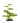 Underwater Treasures Plant Arrowhead