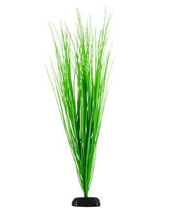 Underwater Treasures Green Hairgrass - 24"