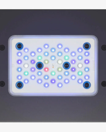 EcoTech Marine Radion XR15 G6 LED Lighting - Blue