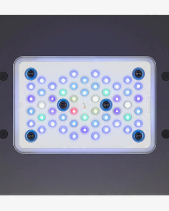 EcoTech Marine Radion XR15 G6 LED Lighting - Blue