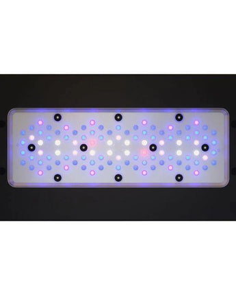 Radion XR30 G6 Blue