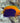 Pygmy (Cherub) Angelfish (Centropyge argi)